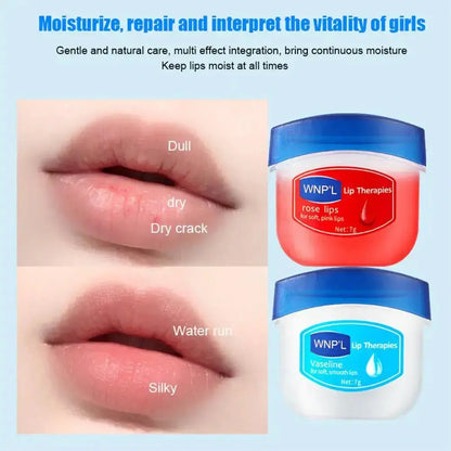 Lip Balm Natural Plant Anti-Cracking Lip Care Zendrop