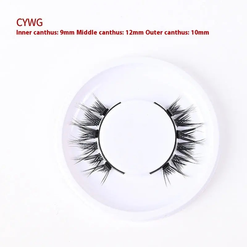 Magnetic Glue-free Three False Eyelashes Suit Collection CJ Dropshipping