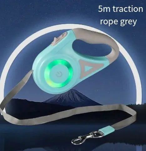 Led Lights Dog Leash Trendsetter Express