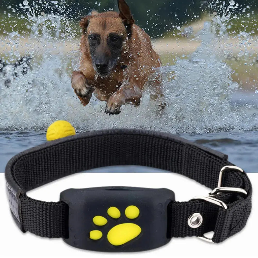 Universal Pet GPS Tracker Collar Zendrop