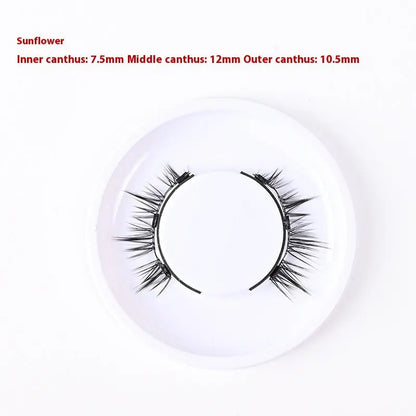 Magnetic Glue-free Three False Eyelashes Suit Collection CJ Dropshipping