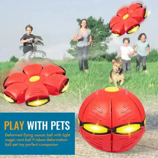 Pet Flying Saucer Ball Toy Zendrop