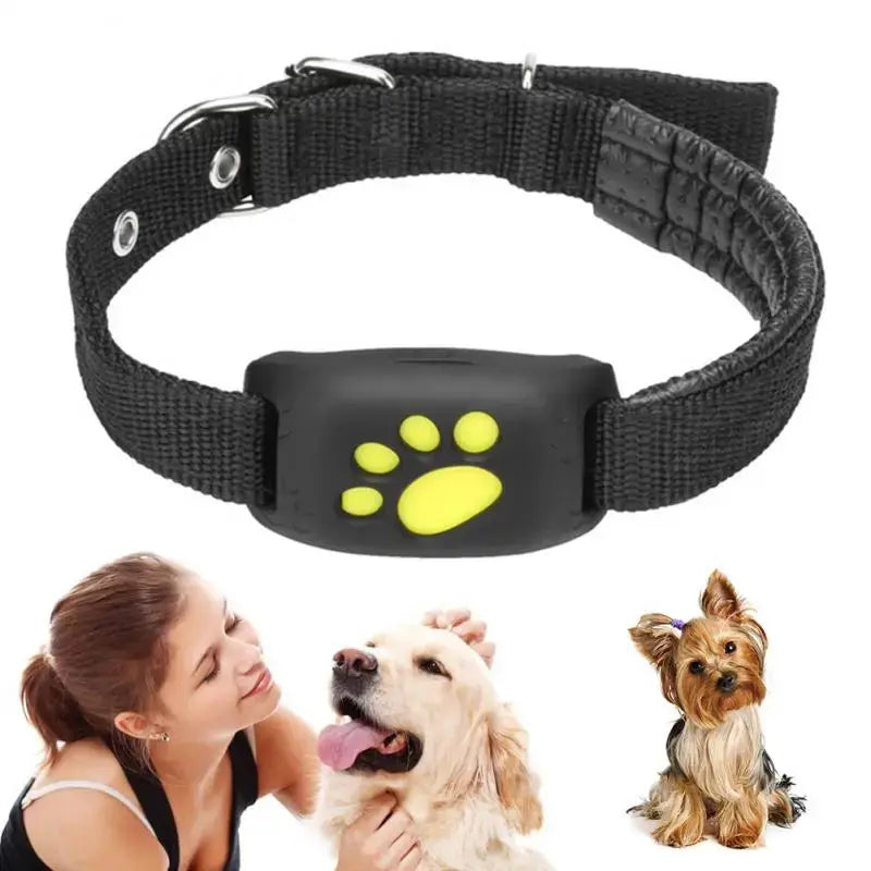 Universal Pet GPS Tracker Collar Zendrop