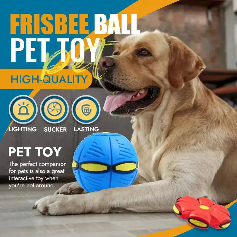 Pet Flying Saucer Ball Toy Zendrop